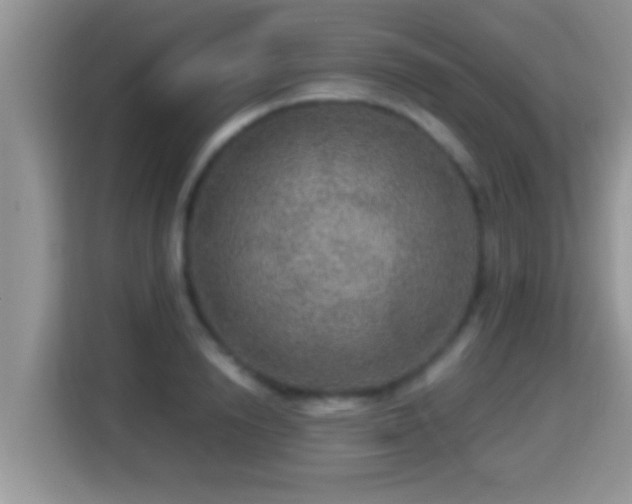 X0000116000846200911251058