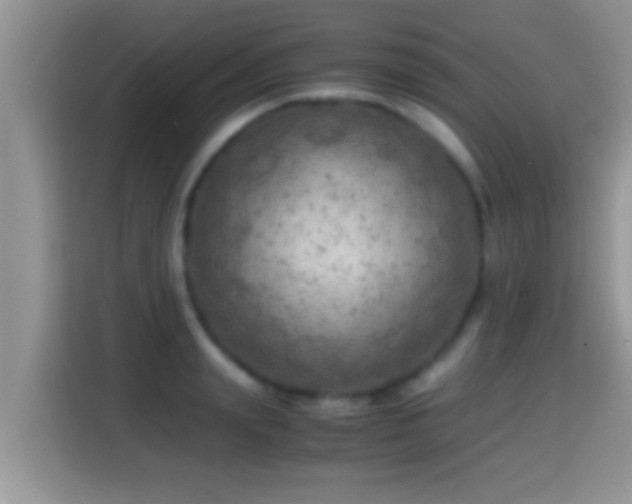 X0000116000847200911251058