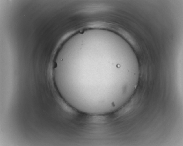 X0000116000848200911251058