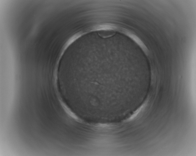 X0000116000850200911251058