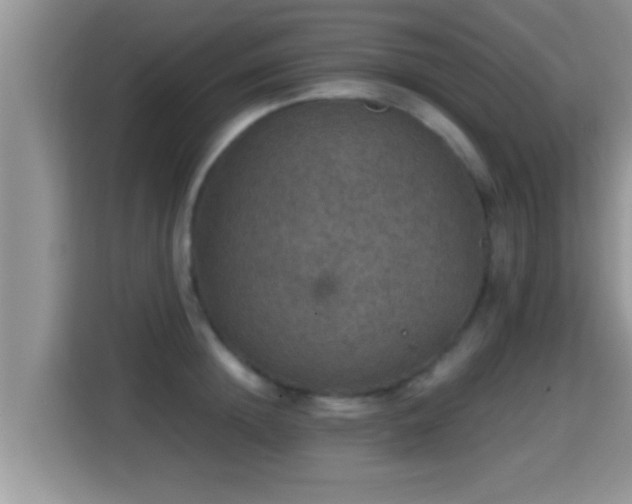 X0000116000852200911251058