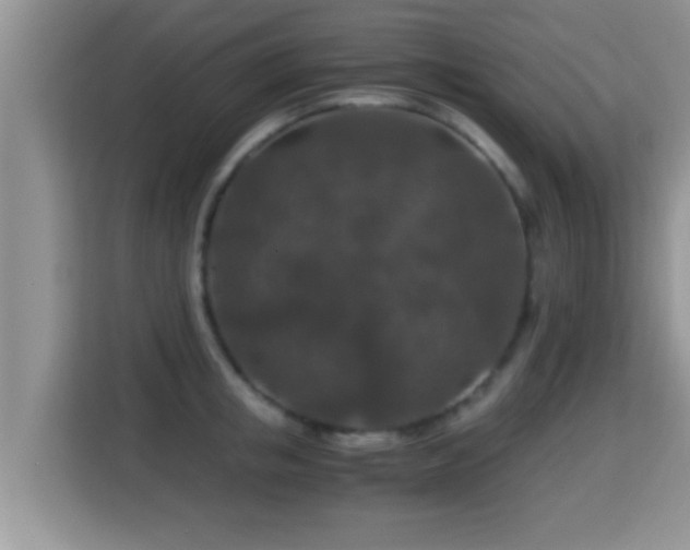 X0000116000853200911251058