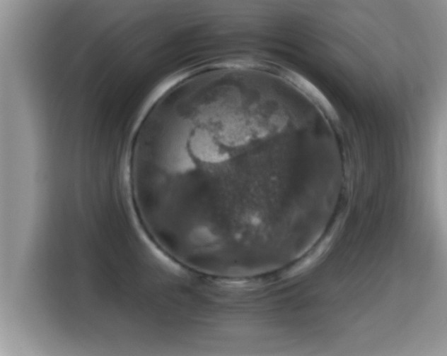 X0000116000855200911251058