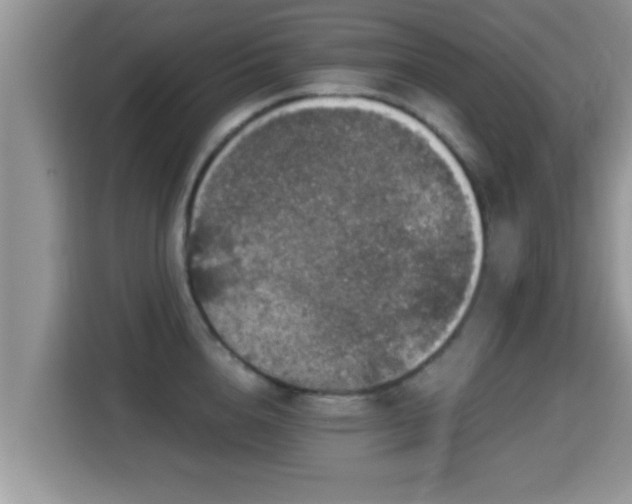 X0000116000856200911251058