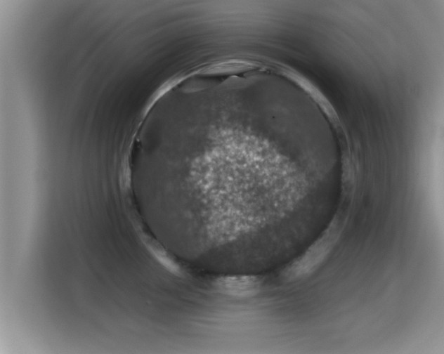 X0000116000858200911251059