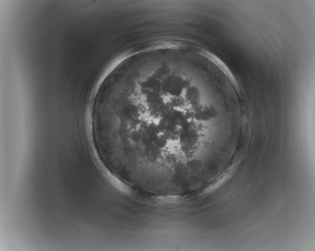 X0000116000859200911251059