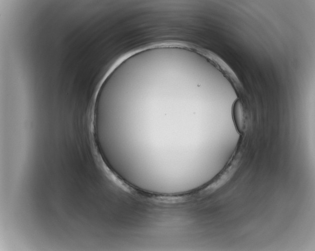 X0000116000860200911251059