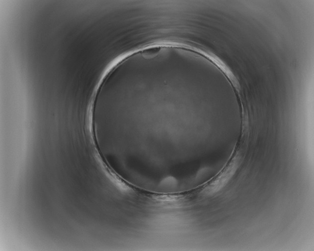 X0000116000862200911251059