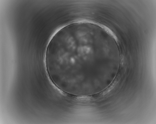 X0000116000863200911251059