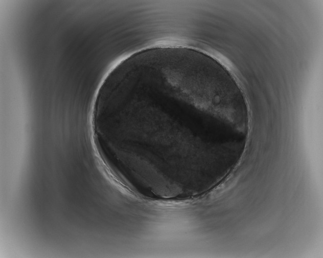 X0000116000864200911251059