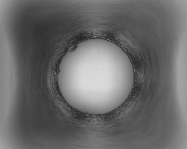 X0000116000865200911251058