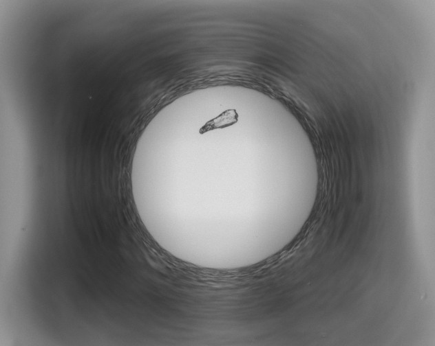 X0000116000868200911251058