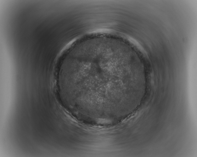 X0000116000872200911251058