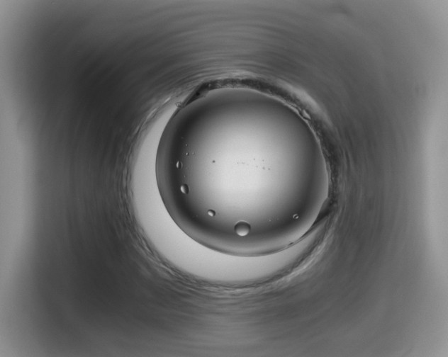 X0000116000873200911251058