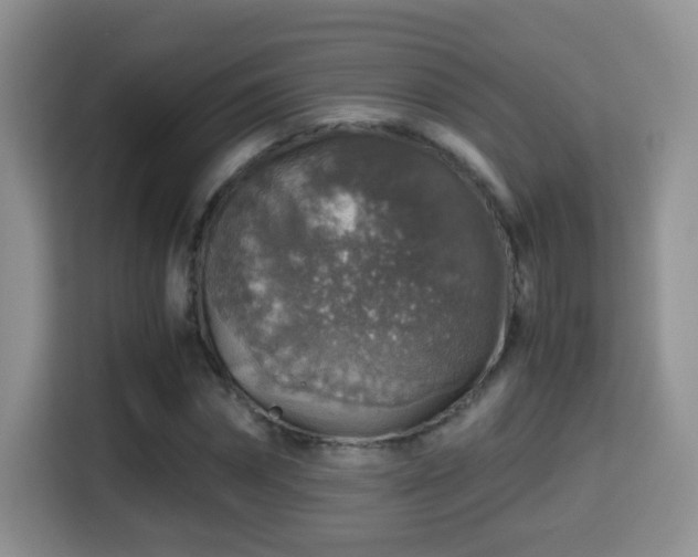 X0000116000874200911251058