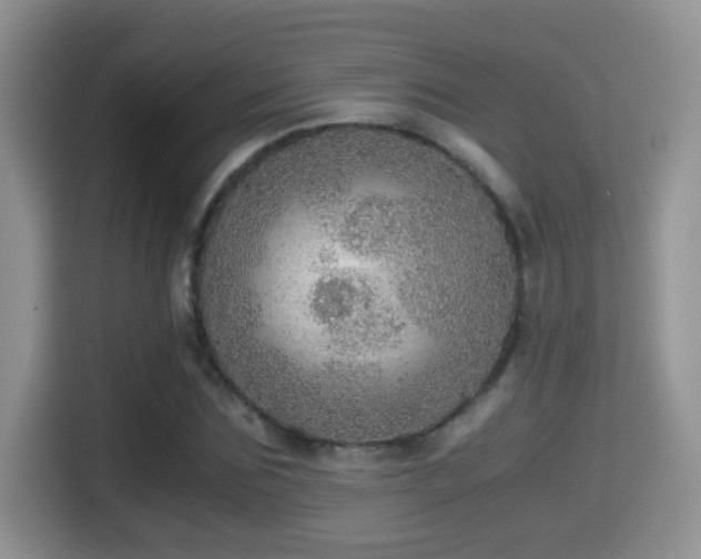 X0000116000875200911251058