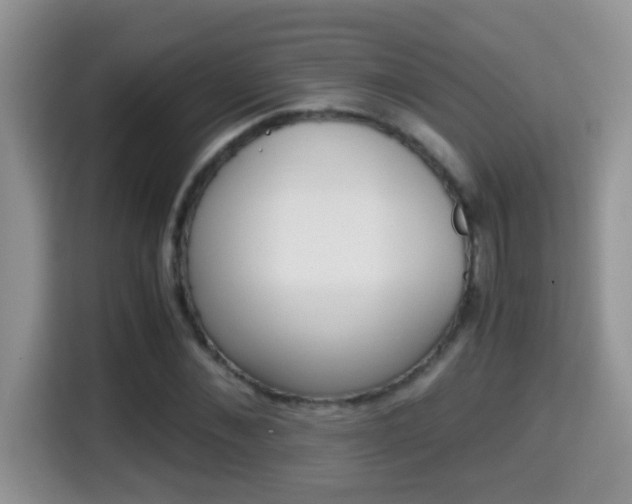 X0000116000876200911251058