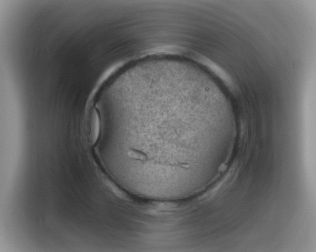 X0000116000878200911251058