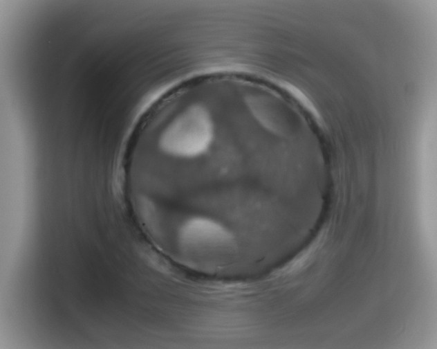 X0000116000879200911251058