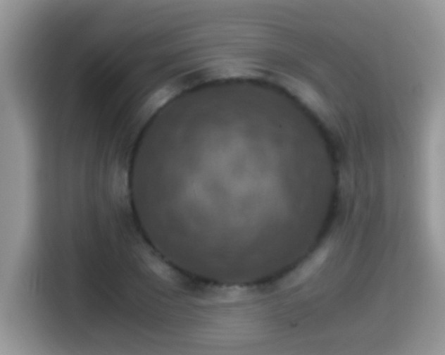 X0000116000881200911251058