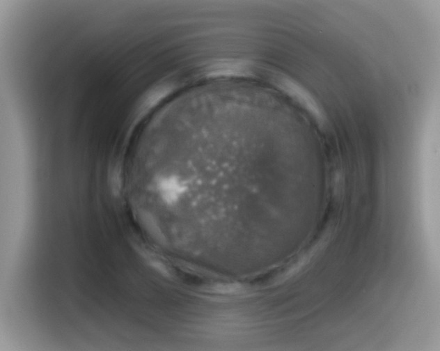 X0000116000882200911251058