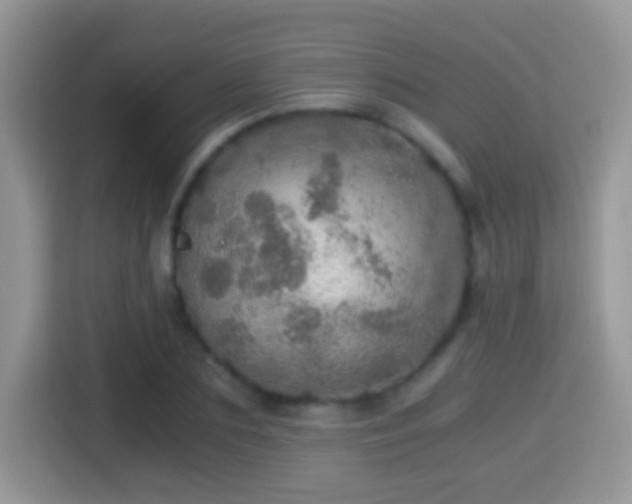 X0000116000883200911251058