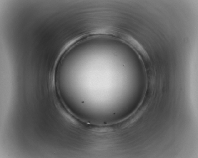 X0000116000884200911251058