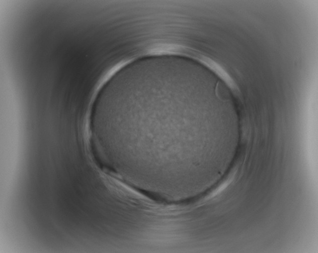 X0000116000885200911251058