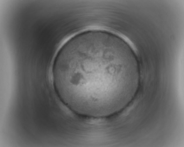 X0000116000887200911251058