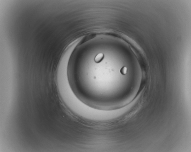 X0000116000889200911251058