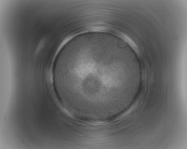 X0000116000891200911251058