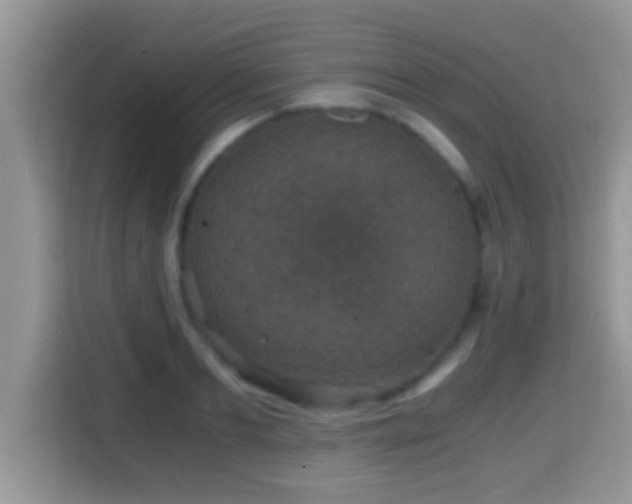 X0000116000893200911251058