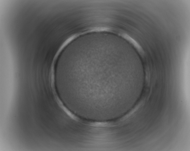 X0000116000894200911251058