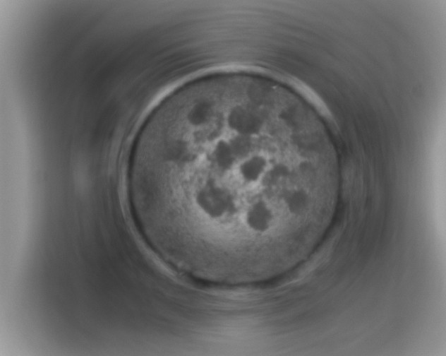 X0000116000895200911251058