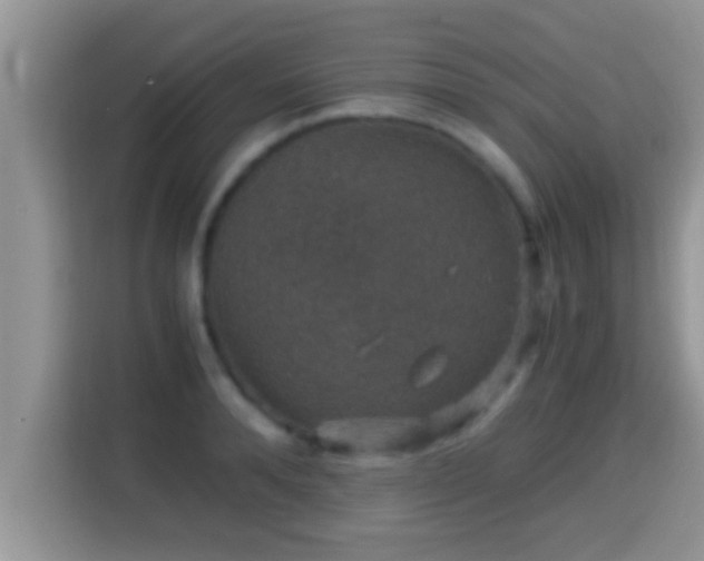 X0000116000896200911251058