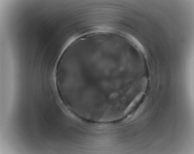 X0000116000899200911251058