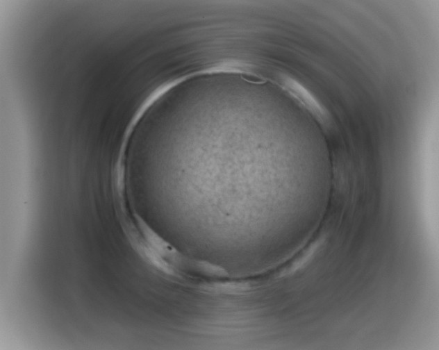 X0000116000900200911251058