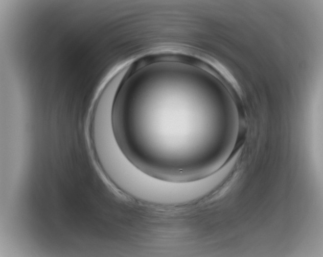 X0000116000901200911251058