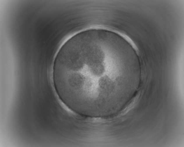 X0000116000903200911251057