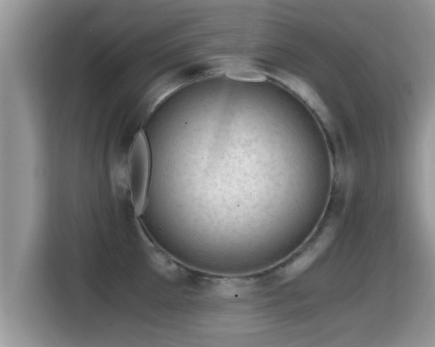 X0000116000905200911251057