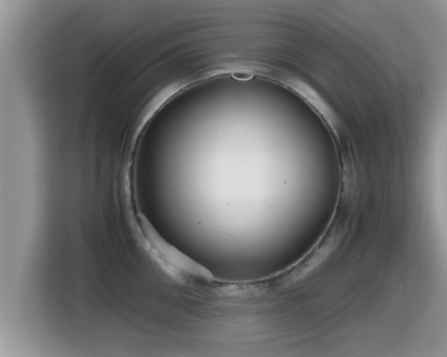 X0000116000906200911251057