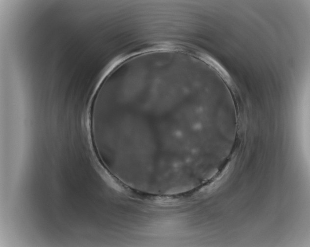 X0000116000907200911251057