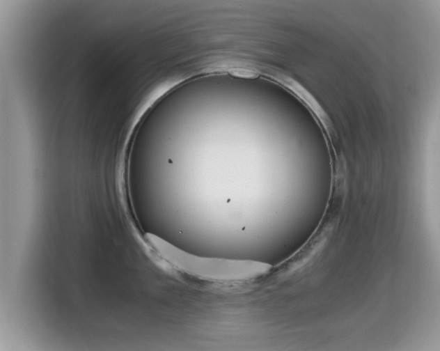 X0000116000909200911251057