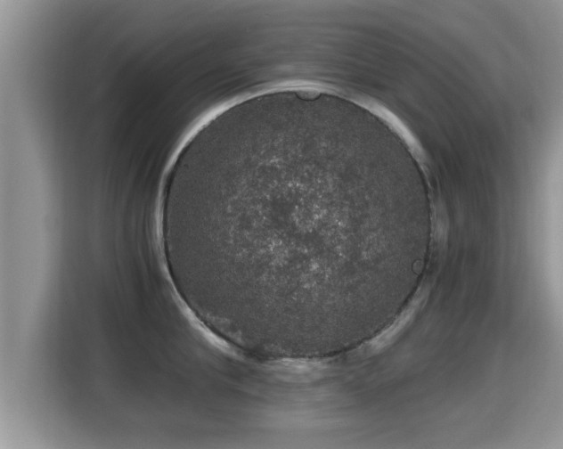 X0000116000910200911251057