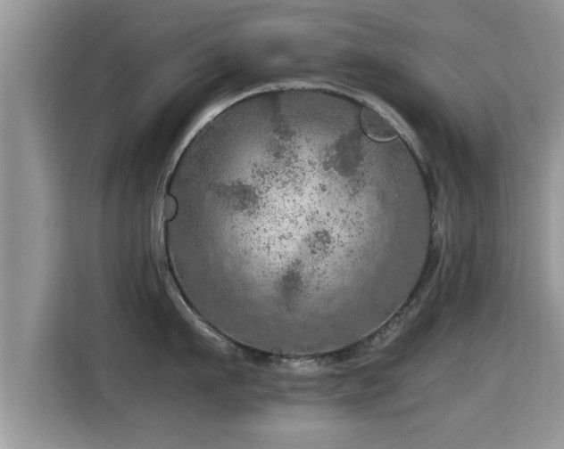 X0000116000911200911251057