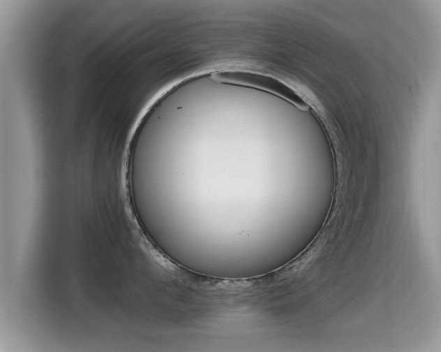 X0000116000912200911251057