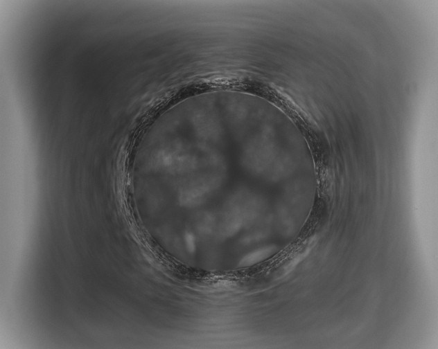 X0000116000913200911251057