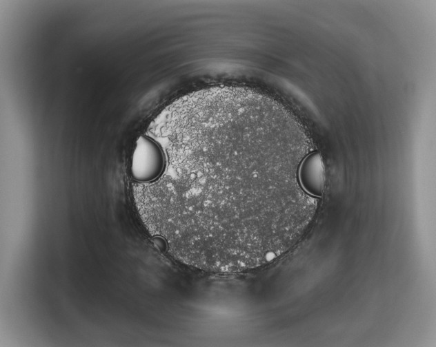 X0000116000918200911251057