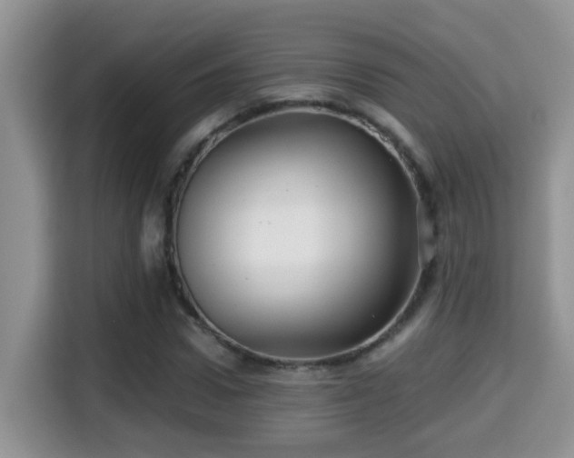 X0000116000922200911251057