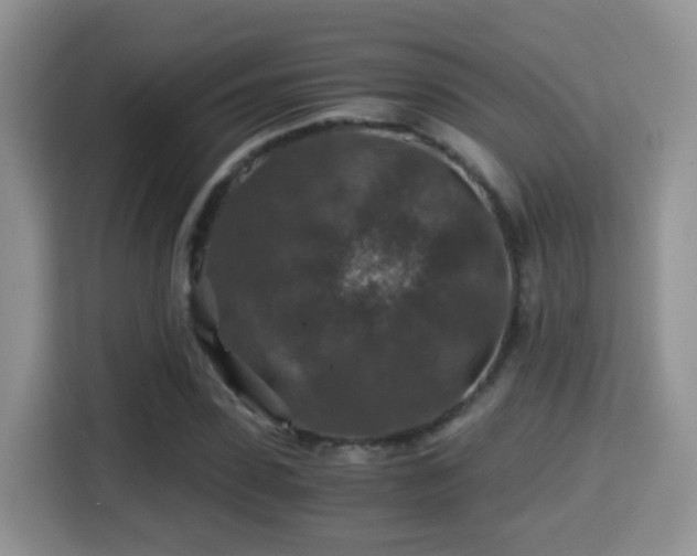 X0000116000923200911251057